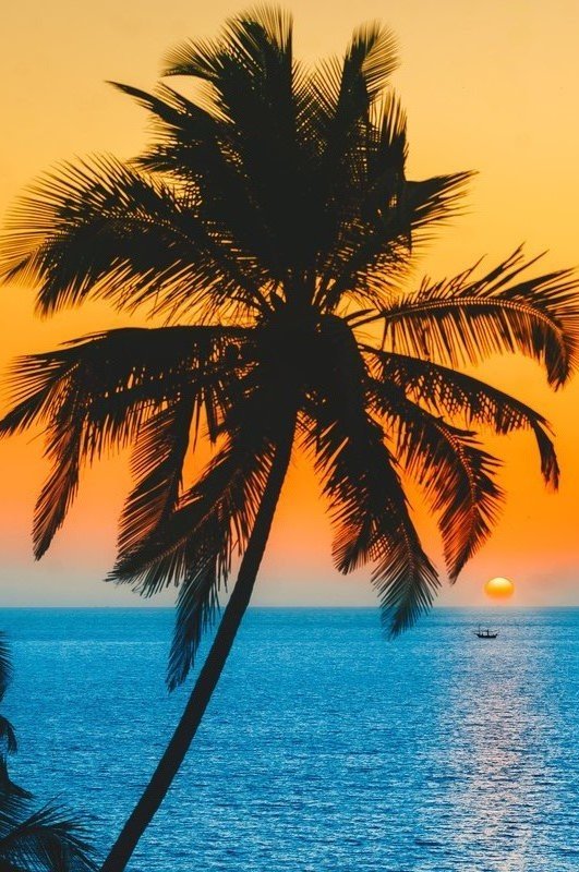 Goa Tour